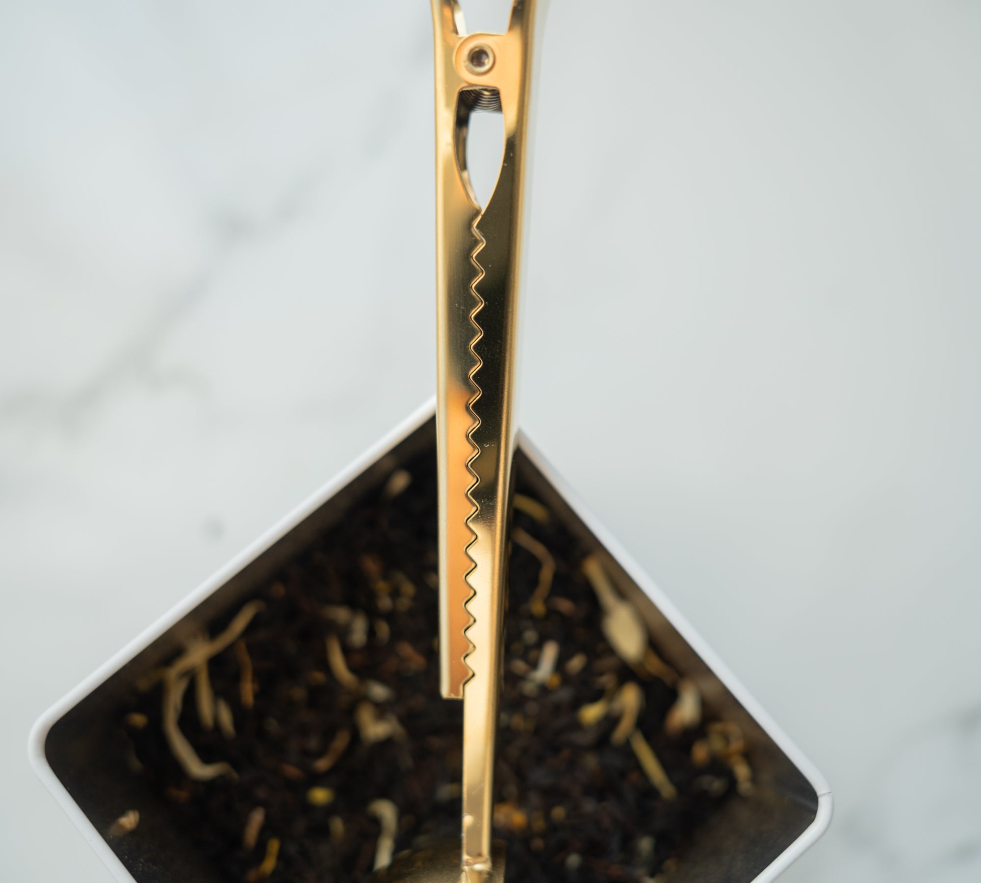 Tea & Coffee Spoon with Bag Clip - Rich And Pour