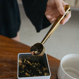 Tea & Coffee Spoon with Bag Clip - Rich And Pour